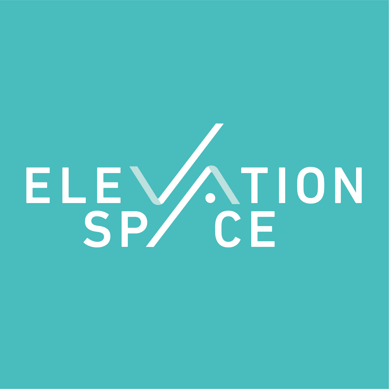 株式会社ElevationSpace ロゴ